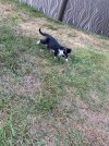 IMG_5097.jpeg