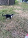IMG_5098.jpeg