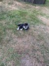 IMG_5101.jpeg