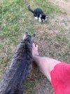 IMG_5102.jpeg