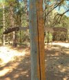 20250805_101517.jpg