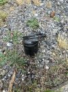 IMG_4355.jpeg