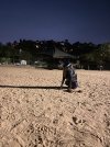 IMG_8932.jpeg