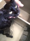 IMG_20250806_153933872.jpg