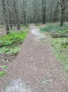 IMG_0605.jpeg