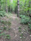 IMG_0611.jpeg