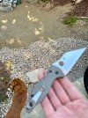IMG_2222.jpeg