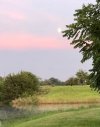 IMG_6694.jpeg