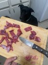 IMG_8939.jpeg
