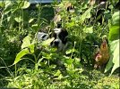 IMG_0146.jpeg