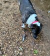 IMG_0258.jpeg