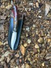 IMG_0261.jpeg