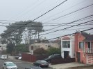 IMG_2438.jpeg