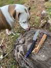 IMG_4720.jpeg