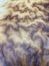 IMG_5147.jpeg