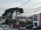 IMG_2452.jpeg