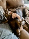 IMG_6695.jpeg