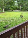 20250808_073618.jpg