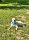 IMG_1338.jpeg