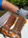 IMG_6986.jpeg