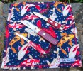 2025-08-08 RED Friday Case Teardrop GEC36 S&M Baby Sunfish.JPG