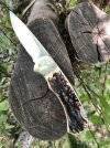 IMG_4066.jpeg