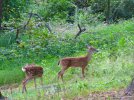 IMG_0934.JPG