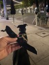 IMG_8960.jpeg