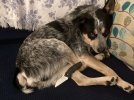 IMG_1402.jpeg