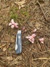 IMG_0620.jpeg