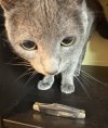 IMG_0490.jpeg