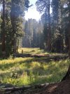 IMG_4071.jpeg