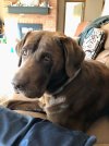 IMG_6708.jpeg