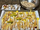 IMG_5276.jpeg