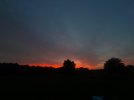 IMG_3290.jpeg