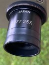 IMG_6568.jpeg