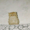 IMG_6542.png