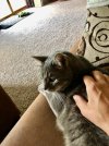 IMG_6773.jpeg