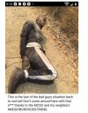 IMG_9256.jpeg