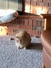 IMG_6787.jpeg