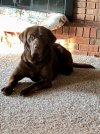 IMG_6788.jpeg