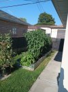 IMG_20250811_172538.jpg