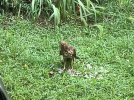 IMG_0365.jpeg