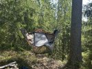 IMG_4567.jpeg