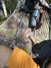 IMG_4570.jpeg