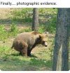 IMG_0749.jpeg