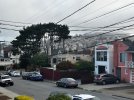 IMG_2559.jpeg