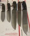 IMG_6602.jpeg