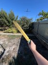 IMG_6587.jpeg