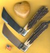 2 Pruners 2.jpg